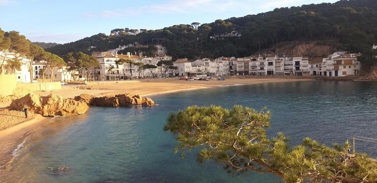 Precioso apartamento con piscina en Tamariu Bagian luar foto